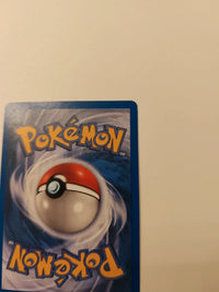 Ekans 46/62 actual card photograph 10