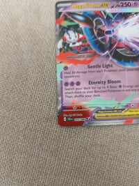 M Floette-EX 035/086 | NM actual card photograph 3