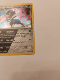 Bisharp 64/114 actual card photograph 4