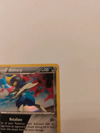 Bisharp 64/114 actual card photograph 5