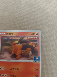 Tepig 159/S-P | NM actual card photograph 5