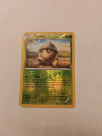 Seedot 9/114 | Moderately to heavily played actual card photograph
