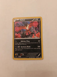 Yveltal 65/114 | Moderately to heavily played actual card photograph