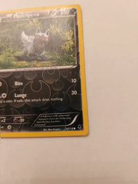 Actual card photograph 4