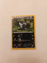 Poochyena 53/119 | Condition review required actual card photograph